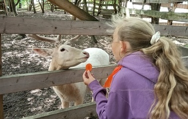 Zwierzaki nad Potokiem - wyjazd do mini zoo (8 lipca 2026) 10