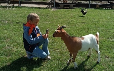 Zwierzaki nad Potokiem - wyjazd do mini zoo (8 lipca 2026) 14
