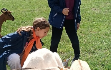 Zwierzaki nad Potokiem - wyjazd do mini zoo (8 lipca 2026) 15