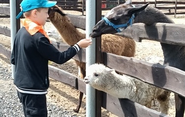 Zwierzaki nad Potokiem - wyjazd do mini zoo (8 lipca 2026) 18