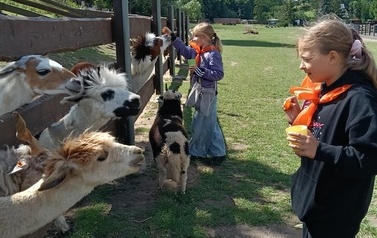 Zwierzaki nad Potokiem - wyjazd do mini zoo (8 lipca 2026) 20