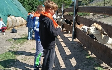 Zwierzaki nad Potokiem - wyjazd do mini zoo (8 lipca 2026) 22