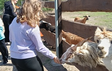 Zwierzaki nad Potokiem - wyjazd do mini zoo (8 lipca 2026) 23