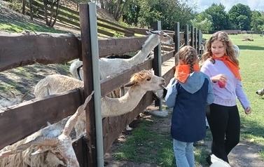 Zwierzaki nad Potokiem - wyjazd do mini zoo (8 lipca 2026) 24