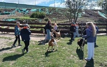 Zwierzaki nad Potokiem - wyjazd do mini zoo (8 lipca 2026) 25