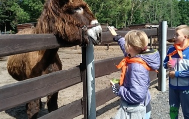Zwierzaki nad Potokiem - wyjazd do mini zoo (8 lipca 2026) 33
