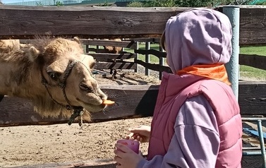 Zwierzaki nad Potokiem - wyjazd do mini zoo (8 lipca 2026) 39