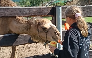 Zwierzaki nad Potokiem - wyjazd do mini zoo (8 lipca 2026) 40