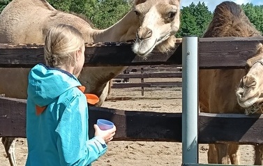 Zwierzaki nad Potokiem - wyjazd do mini zoo (8 lipca 2026) 41