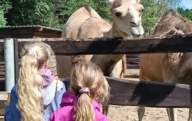 Zwierzaki nad Potokiem - wyjazd do mini zoo (8 lipca 2026) 42