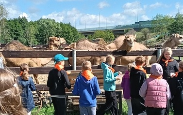 Zwierzaki nad Potokiem - wyjazd do mini zoo (8 lipca 2026) 45