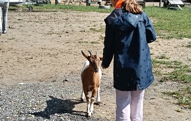 Zwierzaki nad Potokiem - wyjazd do mini zoo (8 lipca 2026) 46