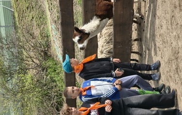 Zwierzaki nad Potokiem - wyjazd do mini zoo (8 lipca 2026) 49