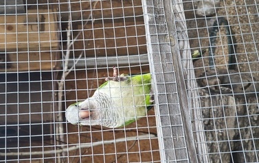 Zwierzaki nad Potokiem - wyjazd do mini zoo (8 lipca 2026) 64