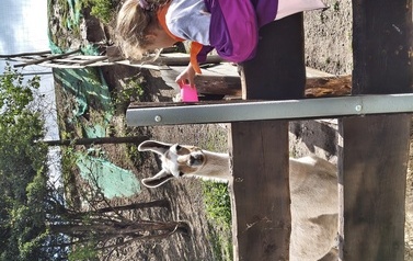 Zwierzaki nad Potokiem - wyjazd do mini zoo (8 lipca 2026) 67