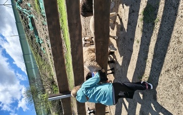 Zwierzaki nad Potokiem - wyjazd do mini zoo (8 lipca 2026) 80