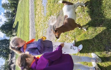 Zwierzaki nad Potokiem - wyjazd do mini zoo (8 lipca 2026) 93