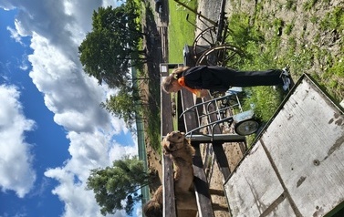 Zwierzaki nad Potokiem - wyjazd do mini zoo (8 lipca 2026) 95