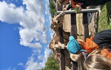 Zwierzaki nad Potokiem - wyjazd do mini zoo (8 lipca 2026) 96