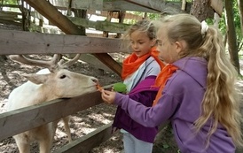 Zwierzaki nad Potokiem - wyjazd do mini zoo (8 lipca 2026) 9