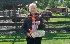 Zwierzaki nad Potokiem - wyjazd do mini zoo (8 lipca 2026) 12