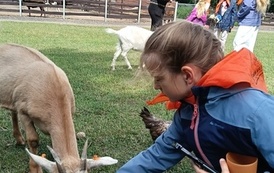 Zwierzaki nad Potokiem - wyjazd do mini zoo (8 lipca 2026) 13