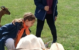 Zwierzaki nad Potokiem - wyjazd do mini zoo (8 lipca 2026) 15