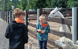 Zwierzaki nad Potokiem - wyjazd do mini zoo (8 lipca 2026) 17
