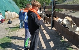 Zwierzaki nad Potokiem - wyjazd do mini zoo (8 lipca 2026) 22
