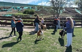 Zwierzaki nad Potokiem - wyjazd do mini zoo (8 lipca 2026) 25