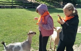 Zwierzaki nad Potokiem - wyjazd do mini zoo (8 lipca 2026) 26