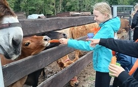 Zwierzaki nad Potokiem - wyjazd do mini zoo (8 lipca 2026) 29