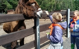 Zwierzaki nad Potokiem - wyjazd do mini zoo (8 lipca 2026) 33