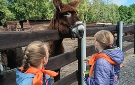 Zwierzaki nad Potokiem - wyjazd do mini zoo (8 lipca 2026) 34