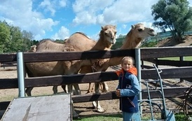 Zwierzaki nad Potokiem - wyjazd do mini zoo (8 lipca 2026) 37
