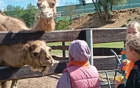 Zwierzaki nad Potokiem - wyjazd do mini zoo (8 lipca 2026) 44