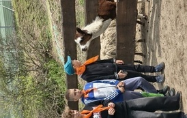 Zwierzaki nad Potokiem - wyjazd do mini zoo (8 lipca 2026) 49