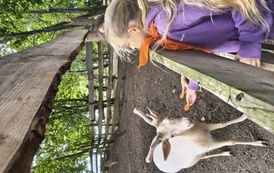 Zwierzaki nad Potokiem - wyjazd do mini zoo (8 lipca 2026) 51
