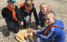 Zwierzaki nad Potokiem - wyjazd do mini zoo (8 lipca 2026) 53
