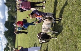 Zwierzaki nad Potokiem - wyjazd do mini zoo (8 lipca 2026) 69