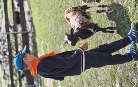 Zwierzaki nad Potokiem - wyjazd do mini zoo (8 lipca 2026) 71