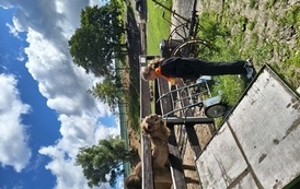 Zwierzaki nad Potokiem - wyjazd do mini zoo (8 lipca 2026) 95