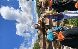 Zwierzaki nad Potokiem - wyjazd do mini zoo (8 lipca 2026) 97